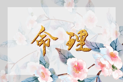 农历2026年日历表查询_农历查询2026年黄历表_农历黄历万年